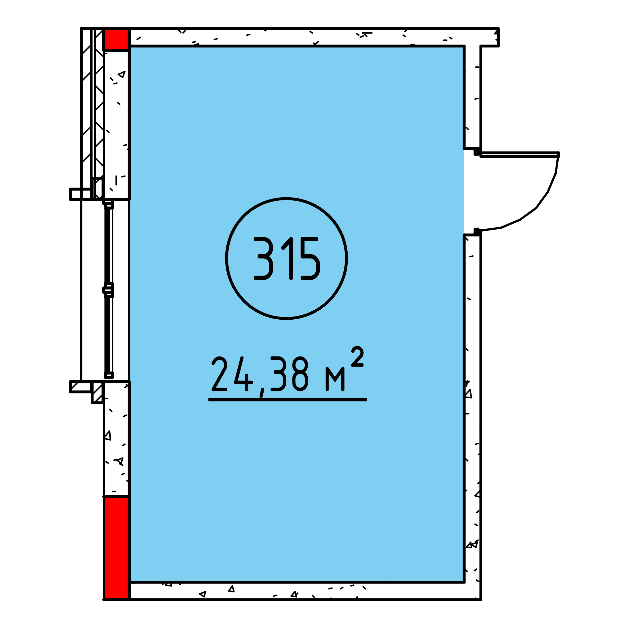 Планировка: Помещение №315 · 24,38 м²